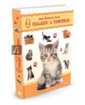 Картинка к книге Энциклопедии - Моя большая книга о кошках и котятах