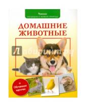 Картинка к книге Михайлович Петр Волцит - Домашние животные