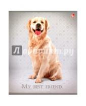 Картинка к книге Тетради - Тетрадь 48 листов "Верные друзья (собаки)", 5 видов (ТКЛ484970)