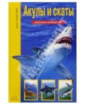 Картинка к книге Ю.А. Дунаева - Акулы и скаты