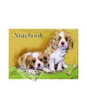 Картинка к книге Феникс+ - Notebook 1926 45 листов (пружина, щенки)