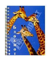 Картинка к книге Феникс+ - Блокнот 2647 А6 120 листов (пружина, жирафы)