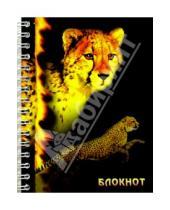 Картинка к книге Феникс+ - Блокнот 2801 А6 80 листов (пружина, леопард)