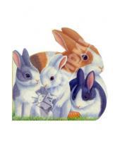 Картинка к книге Урал ЛТД - Прыгающие крольчата