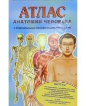 Картинка к книге В. Мерсеро М., Ганьон - Атлас анатомии человека с перекидными прозрачными постерами (большой)