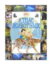 Картинка к книге Эва Меджинская - Атлас животных. Путешествуем вместе с Болеком и Лелеком