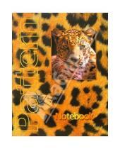 Картинка к книге Тетради - Тетрадь 48 листов клетка Леопард /ТКЛ848828