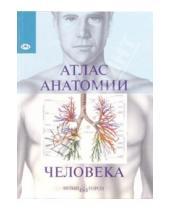 Картинка к книге Занимательные науки - Атлас анатомии человека