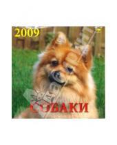 Картинка к книге Календарь настенный 300х300 - Календарь 2009 Собаки (70820)