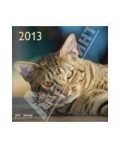 Картинка к книге Календарь 300х300 - Календарь 2013 "Кошки" (75642)