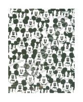 Картинка к книге Премьера - Тетрадь со сменными блоками (2 сменных блока) "Mickey & Minnie" (57077)