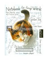 Картинка к книге Тетради для записи иностранных слов - Тетрадь для записи иностранных слов "Любопытная кошка"