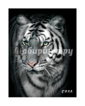 Картинка к книге Блокнот настоящего хищника - Блокнот настоящего хищника "Белый тигр"