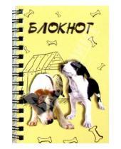Картинка к книге Феникс+ - Блокнот 2749 А6 60 листов (пружина, щенки)