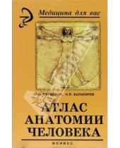 Картинка к книге Юрий Боянович - Атлас анатомии человека