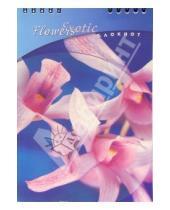 Картинка к книге КТС-про - Блокнот А5 48 листов (клетка) Розовая орхидея (пружина) /С2852