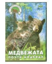 Картинка к книге Вацлав Чалоупек - Медвежата. Часть 2: Почти медведи