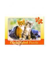 Картинка к книге Puzzle-60 MIDI - Puzzle-60.MIDI.В-06304. Два котенка в джинсах