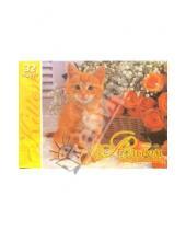 Картинка к книге Альбомы - Альбом для рисования 32 листа.  Рыжий котенок с розами (А132144)