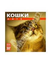 Картинка к книге Медный всадник - Календарь: Кошки 2007 год (07117)