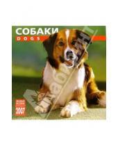 Картинка к книге Медный всадник - Календарь: Собаки 2007 год (07119)