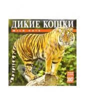 Картинка к книге Медный всадник - Календарь: Дикие кошки 2007 год (07144)
