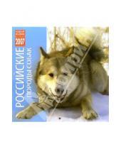 Картинка к книге Медный всадник - Календарь: Российские породы собак 2007 год (07212)