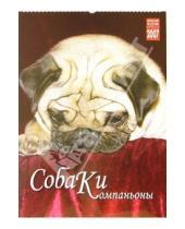 Картинка к книге Медный всадник - Календарь: Собаки-компаньоны 2007 год (20-07203)