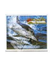 Картинка к книге The Other world - CD. Dolphins Delight