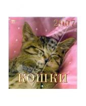 Картинка к книге Диона - Календарь 2007 Кошки (30604)