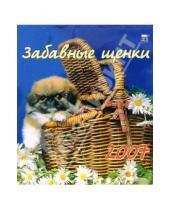 Картинка к книге Диона - Календарь 2007 Забавные щенки (40601)