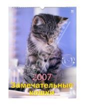 Картинка к книге Диона - Календарь 2007 Замечательные кошки (60602)
