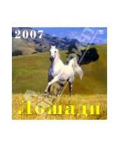 Картинка к книге Диона - Календарь 2007 Лошади (70601)