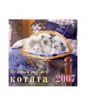 Картинка к книге Диона - Календарь 2007 Нежный возраст. Котята (70603)