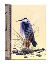 Картинка к книге Папириум - Ежедневник недатированный: Птица на камнях (Е160102)