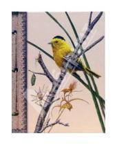 Картинка к книге Папириум - Ежедневник недатированный: Малая желтая птица (Е160105)