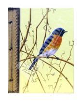 Картинка к книге Папириум - Ежедневник недатированный: Птица с оранжевой грудкой (Е160108)