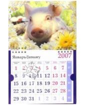 Картинка к книге Календари - Календарь 2007 Поросенок в ромашках (МО-0025)