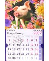 Картинка к книге Календари - Календарь 2007 Пятачок (МО-0027)