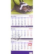 Картинка к книге Календари - Календарь 2007  Три котенка