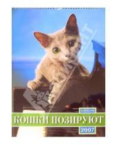 Картинка к книге Календари - Календарь 2007 Кошки позируют (БРЛ10319)
