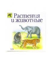 Картинка к книге Евгеньевна Инна Светлова - Растения и животные
