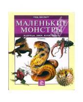 Картинка к книге Паула Хаммонд - Маленькие монстры: ящерицы, змеи, жуки, пауки