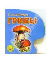 Картинка к книге Книжка-игрушка - Съедобные грибы