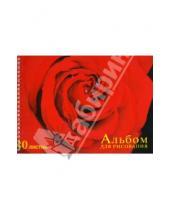 Картинка к книге Альбомы - Альбом для рисования 40 листов Красная роза (АЛС340215)