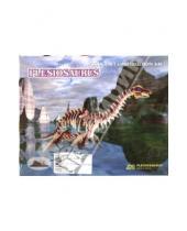 Картинка к книге Большие динозавры - Сборная деревянная модель "Плезиозавр" (JC010)