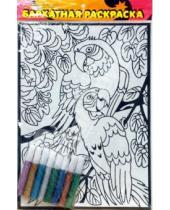 Картинка к книге Бархатные раскраски (гелевые краски) - Бархатная раскраска: Попугаи (1536)