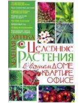 Картинка к книге Владимировна Лариса Аксенова - Целебные растения в вашем доме, квартире, офисе