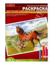 Картинка к книге Раскраска цв. карандашами на кальке - Раскраска цветными карандашами: Конь (Рн017)