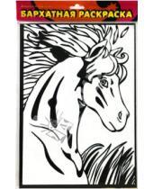 Картинка к книге Бархатные раскраски - Бархатная раскраска. Лошадь